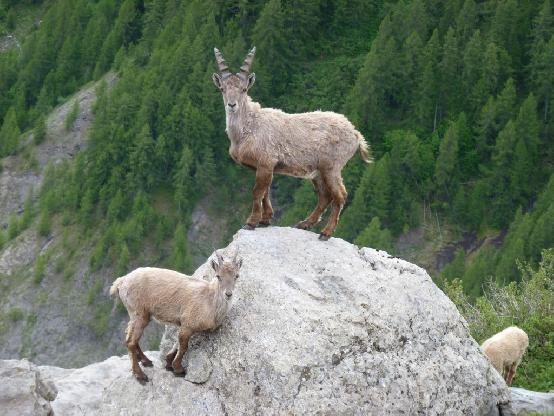 Location de vacances des Hautes-Alpes