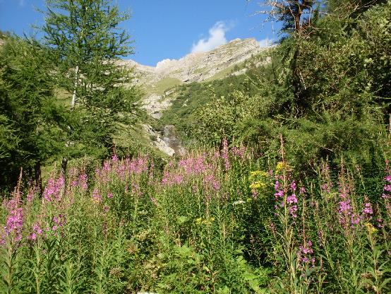 Baladez vous avec une vue dégagée sur les Autanes et la vallée du Drac