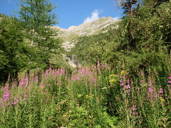 Randonnées en raquette dans un paysage transformé par la neige