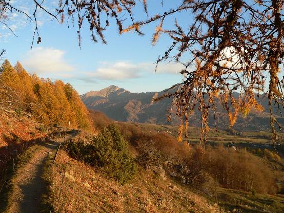 Oxygènez vous en altitude en pleine montagne des Alpes du Sud