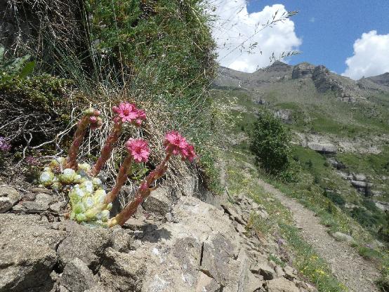 Visitez le Canal de Mal Cros objet d'un belle randonnée