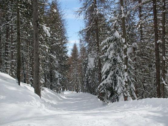 Location des Hautes-Alpes