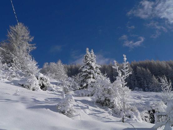 Randonnées en raquette dans un paysage transformé par la neige